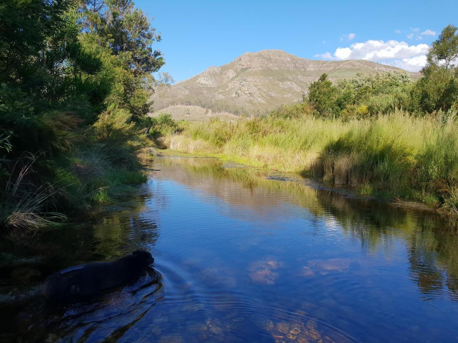 Vila La Ferme Guest Farm - Hot Tubs Franschhoek Exteriér fotografie