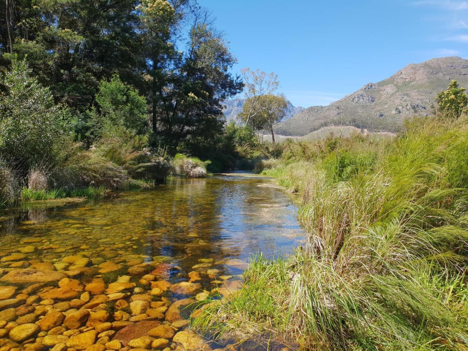 Vila La Ferme Guest Farm - Hot Tubs Franschhoek Exteriér fotografie